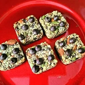 Protein Bars